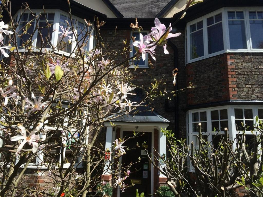 The Limes — Photos 1